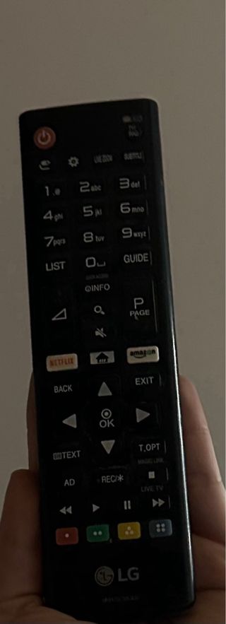Smart TV LG 24” – Modelo 24MT49S-PZ
