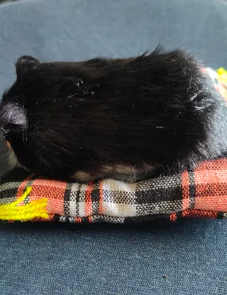 Peluche gato negro y blanco