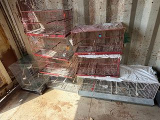 Jaulas de cría para pájaros
