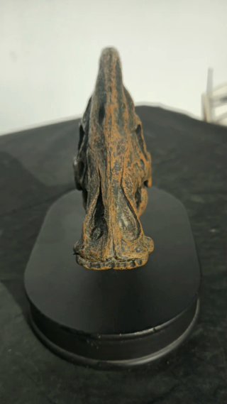 Réplica Cráneo Dinosaurio