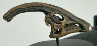 Réplica Cráneo Dinosaurio