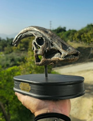 Réplica Cráneo Dinosaurio