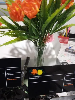 Segnaprezzi Lavagna PVC Ortofrutta