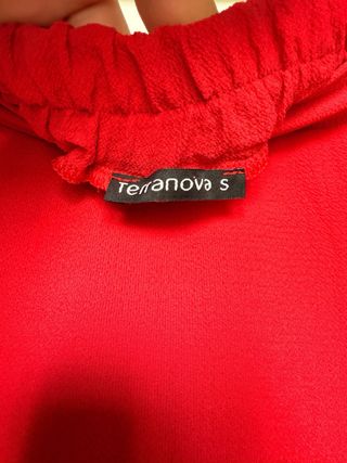 Gonna Rossa Plissettata a Ruota Terranova