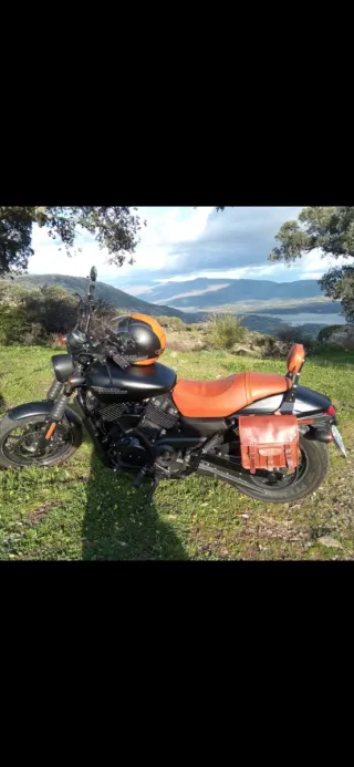 Harley-Davidson Negra y Marrón
