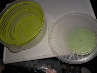 Centrifugadora de salada transparente e verde