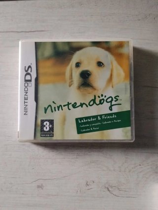 Pacchetto 2 giochi Nintendo DS