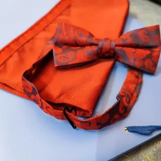 Conjunto Pajarita y Pañuelo Azul y Granate