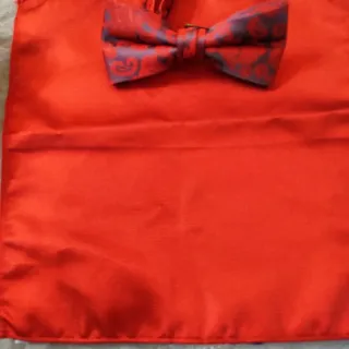 Conjunto Pajarita y Pañuelo Azul y Granate