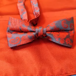 Conjunto Pajarita y Pañuelo Azul y Granate