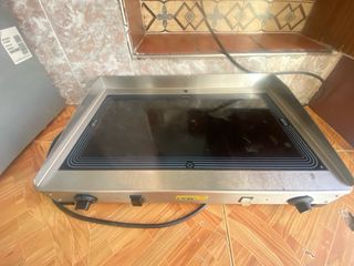 Plancha Eléctrica Profesional