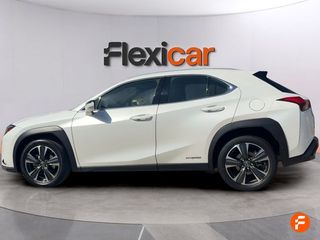 Lexus UX 2.0 250h Business
