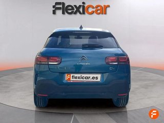 Citroën C4 Cactus BlueHDi 73KW (100CV) Business