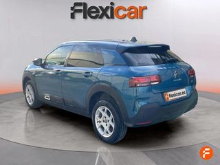 Citroën C4 Cactus BlueHDi 73KW (100CV) Business