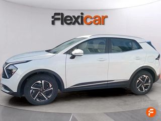 Kia Sportage 1.6 T-GDi PHEV 185kW (252CV) Drive 4x4