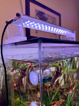 Pantalla LED acuario Plus Plant Light RGB
