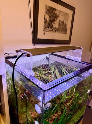 Pantalla LED acuario Plus Plant Light RGB