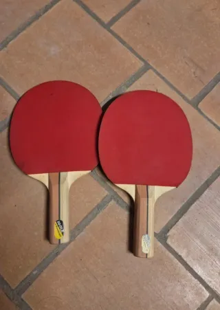 Palas Ping Pong Joola Carbono
