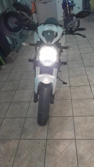 Ducati Monster 797 - 11/2018
