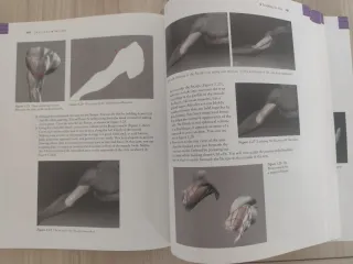 ZBrush Digital Sculpting Human Anatomy