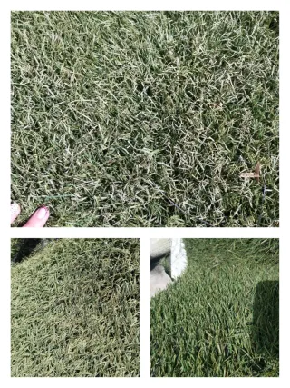 Césped artificial reciclado