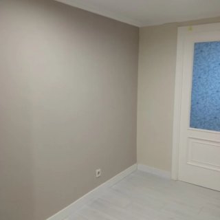 Pintor: Servicio de pintura profesional