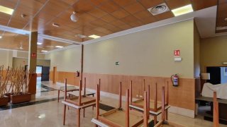 Pintor: Servicio de pintura profesional