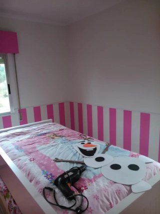 Pintor: Servicio de pintura profesional