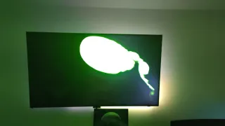 Samsung 55” 4K QLED QE55QN85B + Ambilight Govee