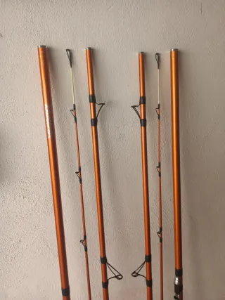 Cañas de pescar Daiwa Cast'Izm 33425