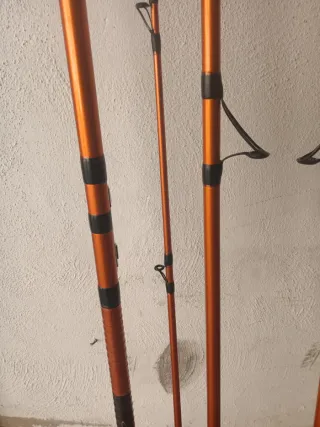 Cañas de pescar Daiwa Cast'Izm 33425