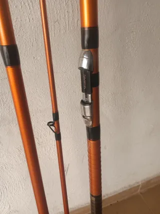 Cañas de pescar Daiwa Cast'Izm 33425