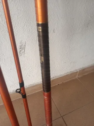 Cañas de pescar Daiwa Cast'Izm 33425