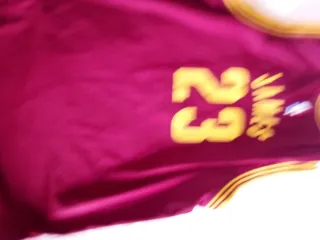 Conjunto Lebron James Talla 13-14 Niño