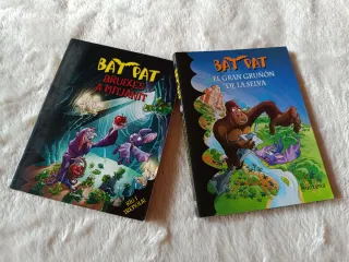 Lote 2 libros infantiles de BATPAT