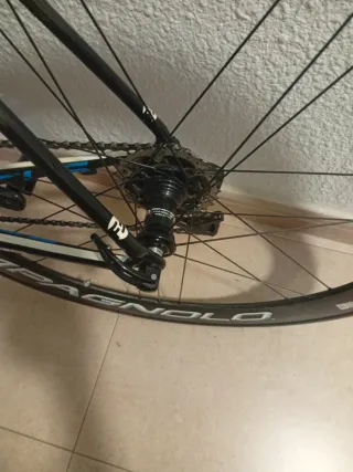 Bicicleta de carretera Focus Izalco Max .