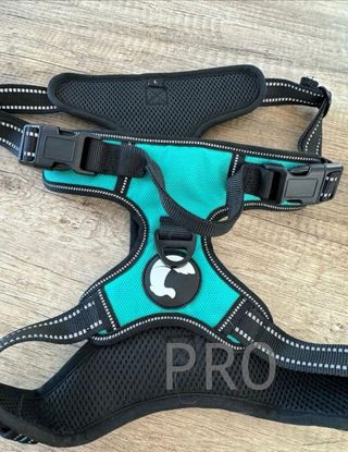 Imbracatura regolabile con maniglie per cane