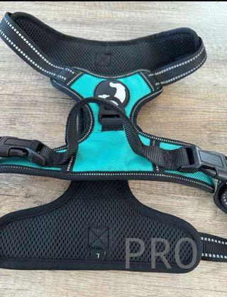 Imbracatura regolabile con maniglie per cane