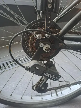 Bicicleta Licorne Stella Negra