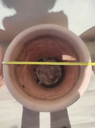 Juego de 6 macetas de poliuretano. LEER