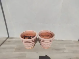 Juego de 6 macetas de poliuretano. LEER