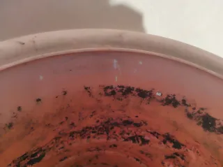 Juego de 6 macetas de poliuretano. LEER