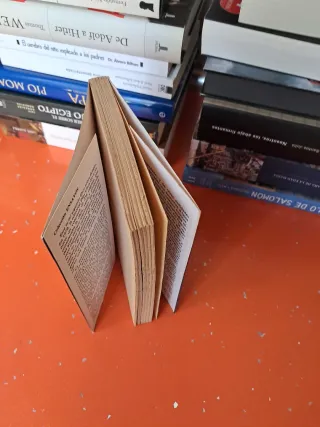 Libro BORGES Álgebra y  Fuego