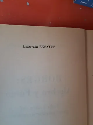 Libro BORGES Álgebra y  Fuego