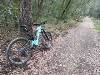 Orbea Wild M20 Carbono