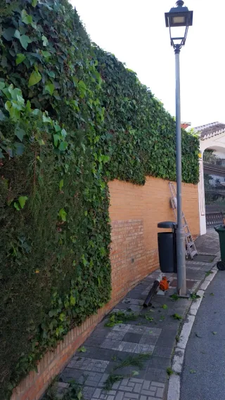 Tu Jadinero a domicilio