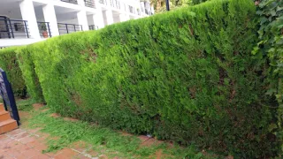 Tu Jadinero a domicilio
