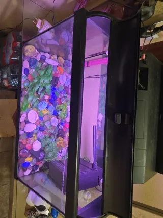 Acuario cristal y plástico multicolor