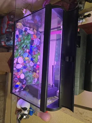 Acuario cristal y plástico multicolor