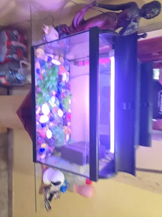 Acuario cristal y plástico multicolor